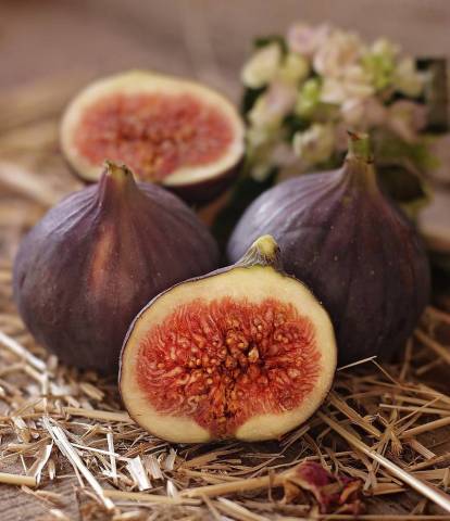 Pain AUX FIGUES